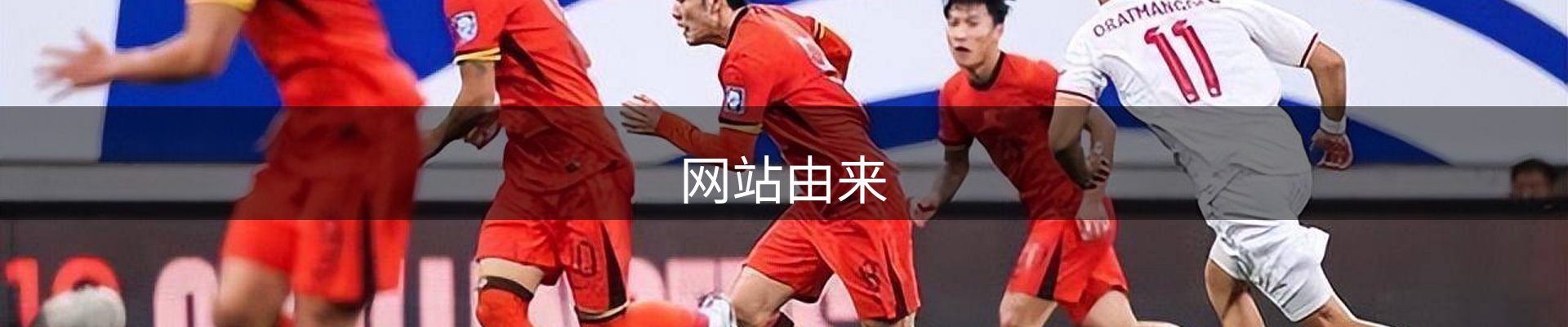 网站由来